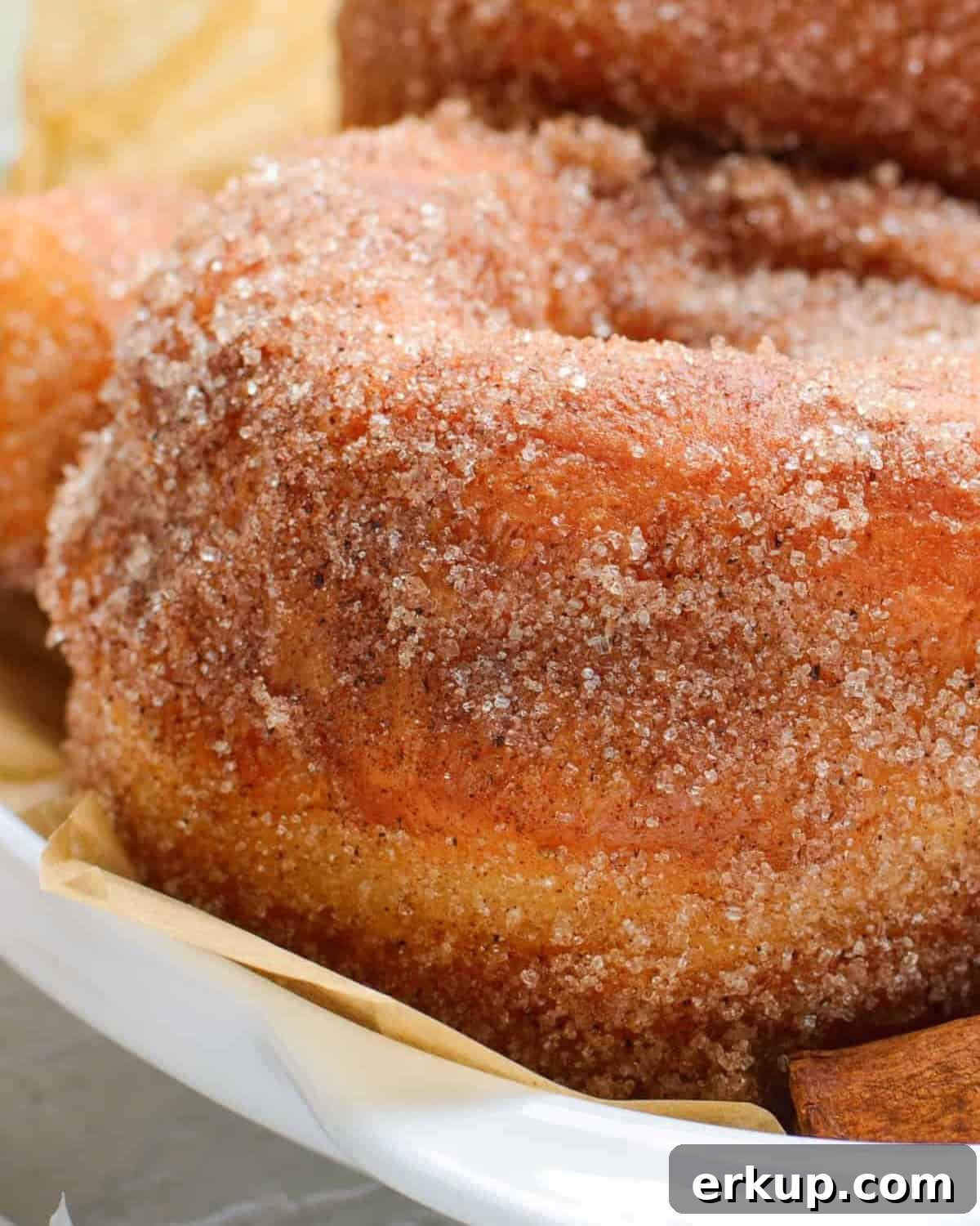 Cinnamon Sugar Donuts Recipe From Scratch 3 closeup of a cinnamon sugar donut on a plate.