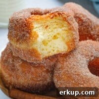 featured cinnamon sugar donuts.