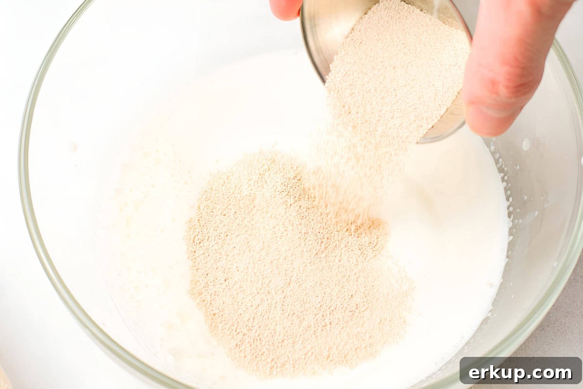 Cinnamon Sugar Donuts Recipe From Scratch 6 yeast added to lukewarm milk and sugar in a glass bowl.