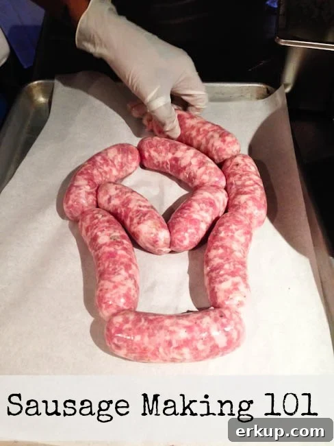 Sausage making 101