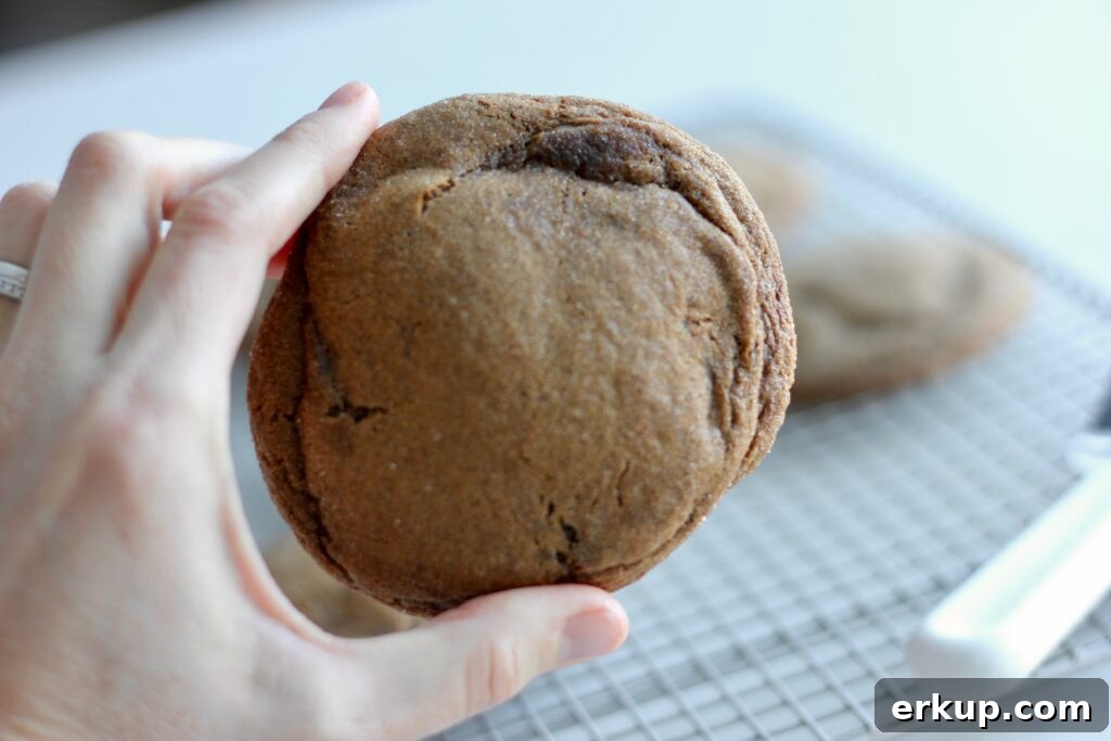 Browned butter sourdough molasses cookies