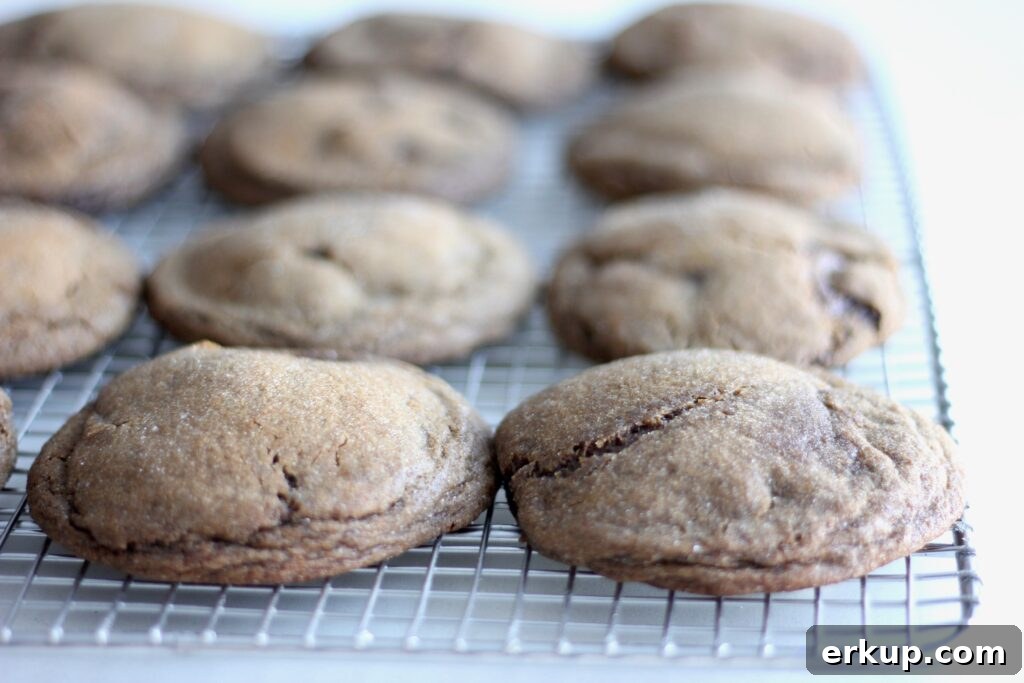 Browned butter sourdough molasses cookies