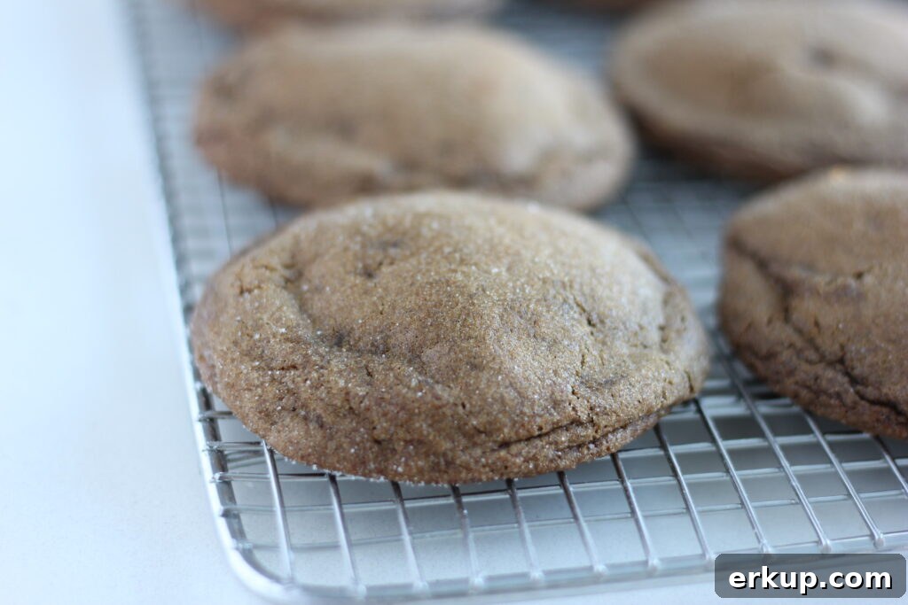 Browned butter sourdough molasses cookies