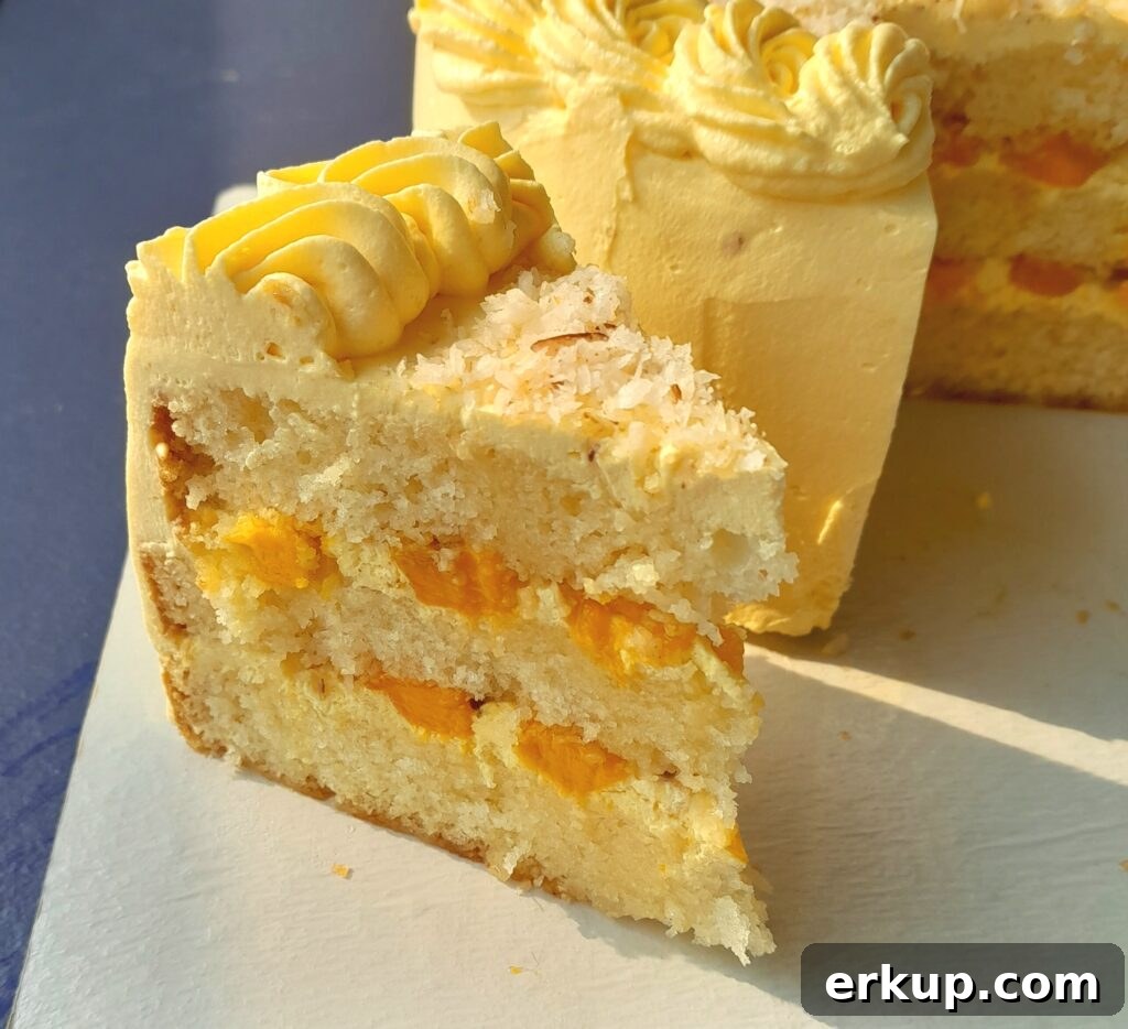 Mango coconut cake ( mango cake recipe)
