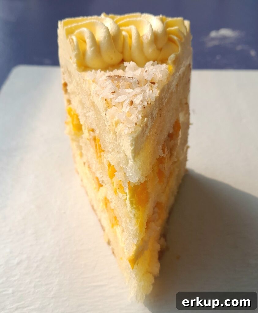 Mango coconut cake ( mango cake recipe)