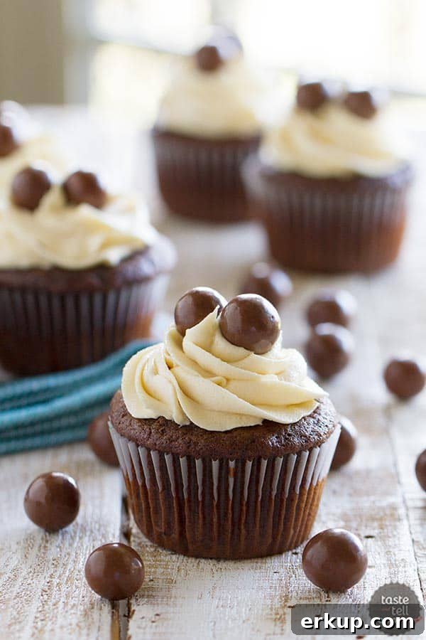 Chocolate Malt Cupcakes with Vanilla Malt Buttercream Frosting 2 Chocolate Malt Cupcakes with Vanilla Malt Buttercream - rich chocolate cupcakes with a hint of malt are topped with a fluffy buttercream infused with even more malt flavor.