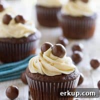 Recipe thumbnail for Chocolate Malt Cupcakes