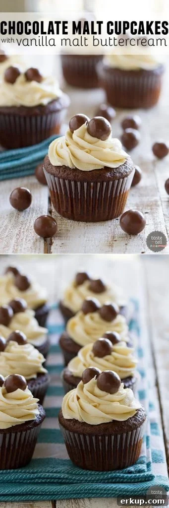 Chocolate Malt Cupcakes with Vanilla Malt Buttercream Frosting 5 Chocolate Malt Cupcakes with Vanilla Malt Buttercream - rich chocolate cupcakes with a hint of malt are topped with a fluffy buttercream infused with even more malt flavor.