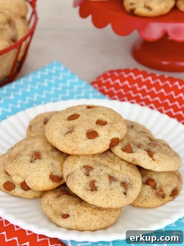 Cinnamon Chip Snickerdoodles