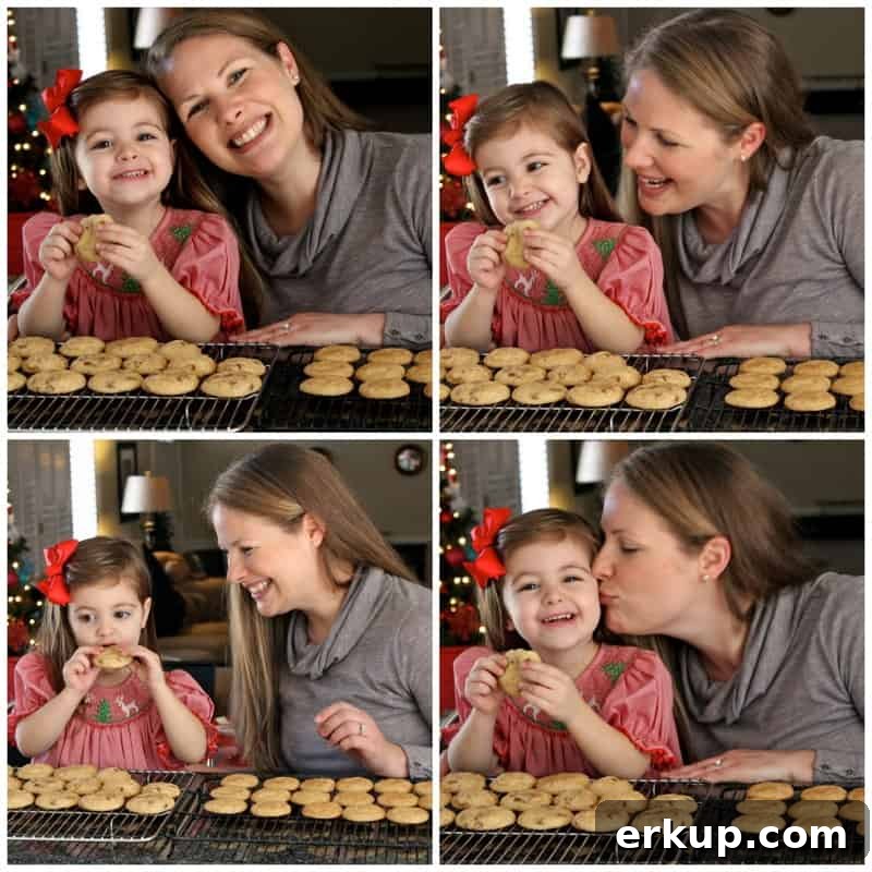Cinnamon Chip Snickerdoodles collage