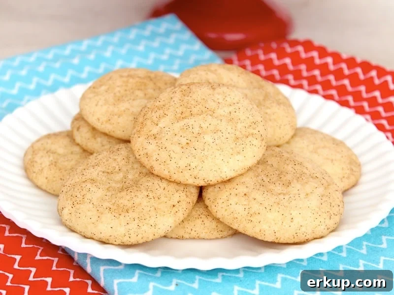 Cinnamon Chip Snickerdoodles closeup