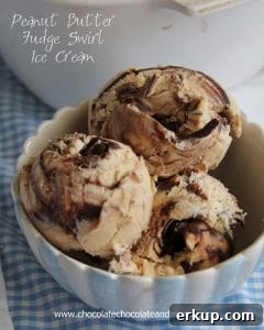 Peanut Butter Fudge Swirl Ice Cream
