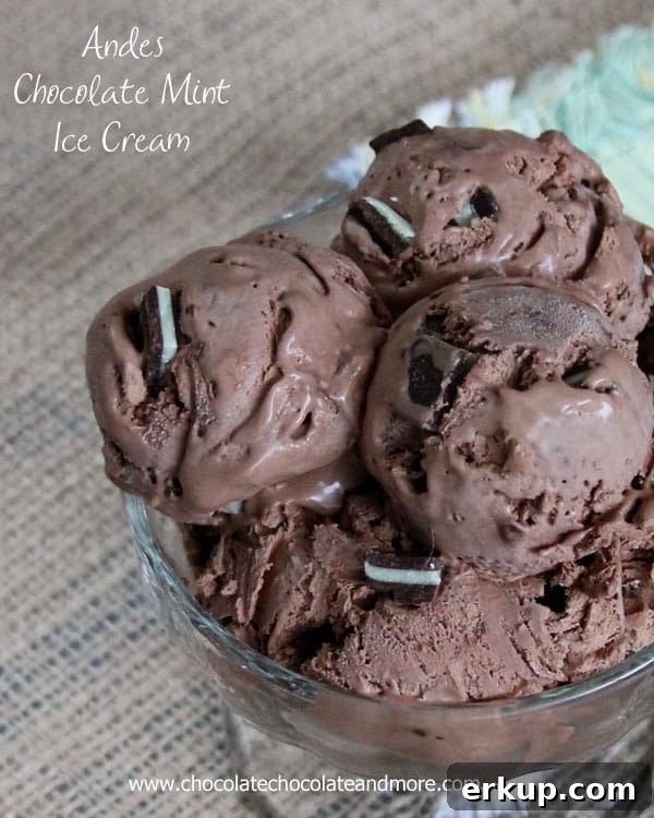 Andes Chocolate Mint Ice Cream closeup