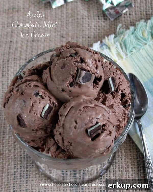 Ice cream scoops