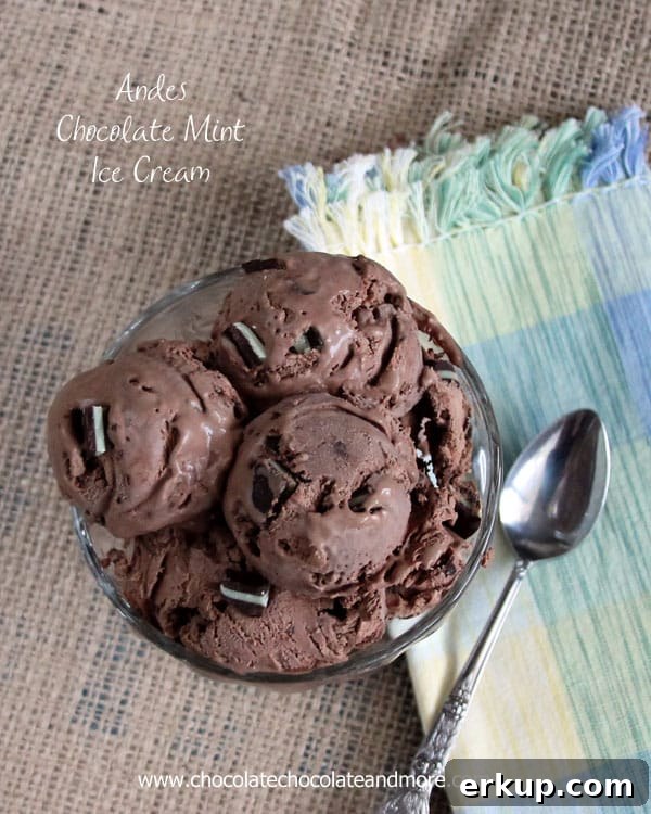 Finished Andes Chocolate Mint Ice Cream