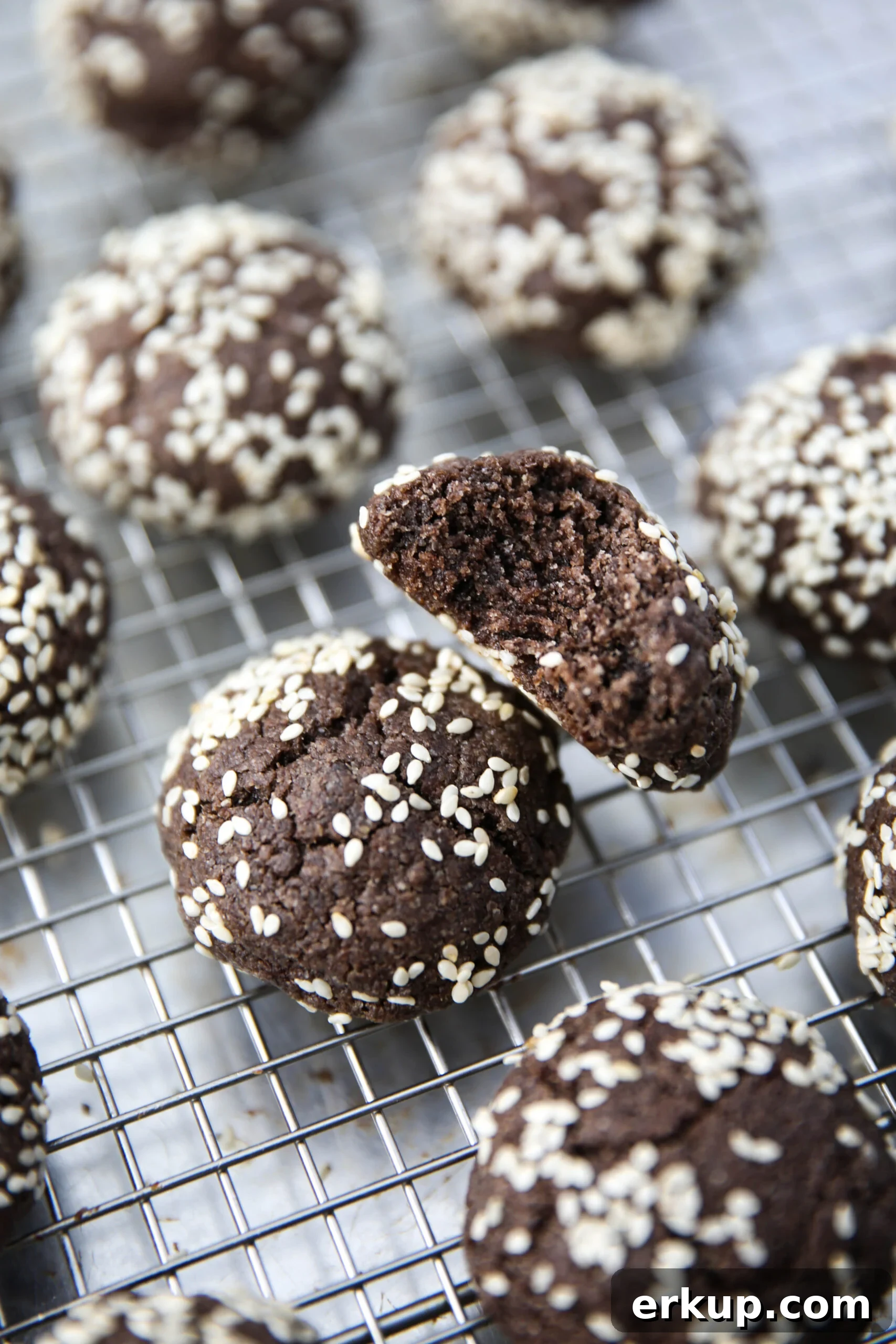 PaleOMG Chocolate Tahini Cookies