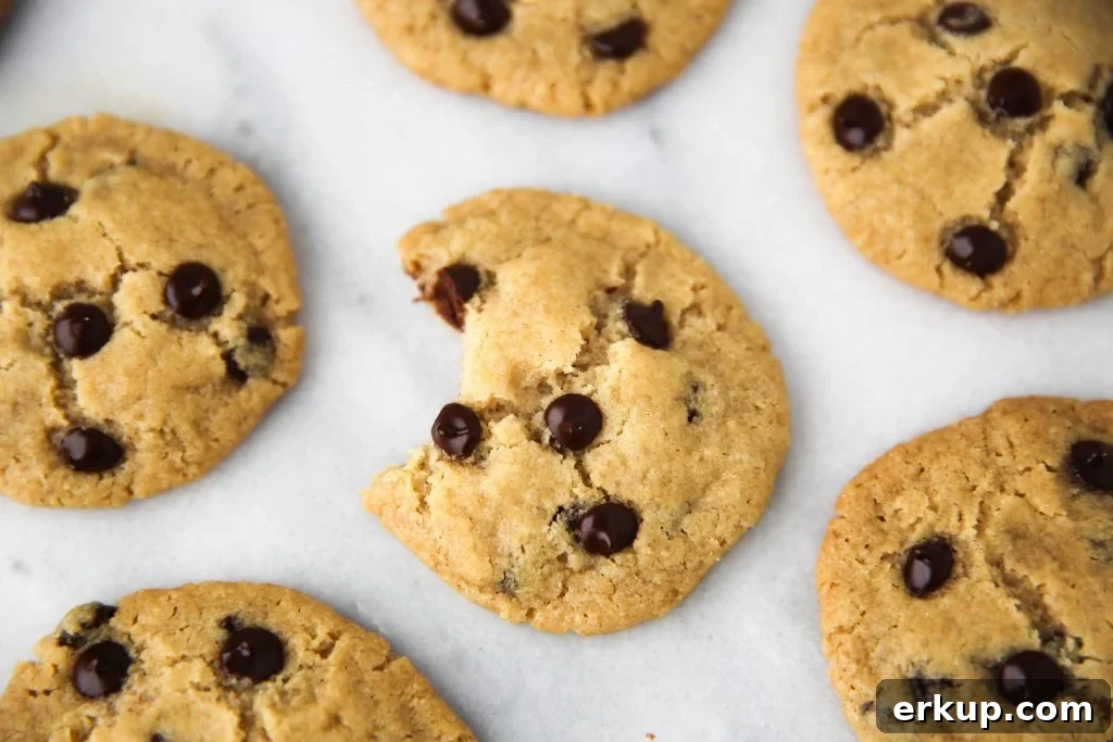 PaleOMG Nut & Egg Free Chocolate Chip Cookies
