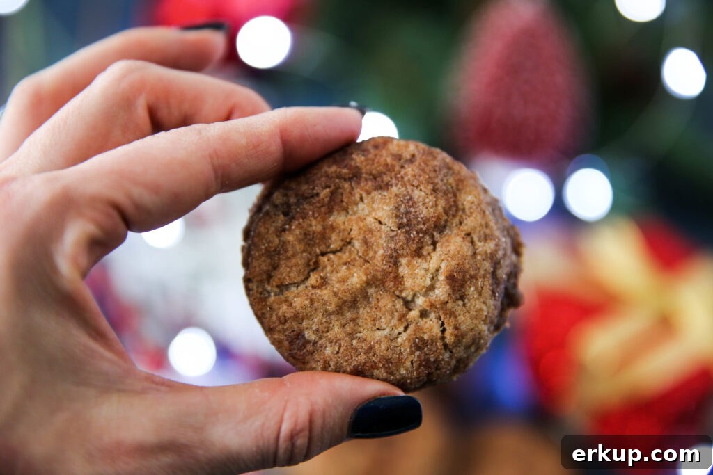 PaleOMG Egg & Nut Free Snickerdoodles