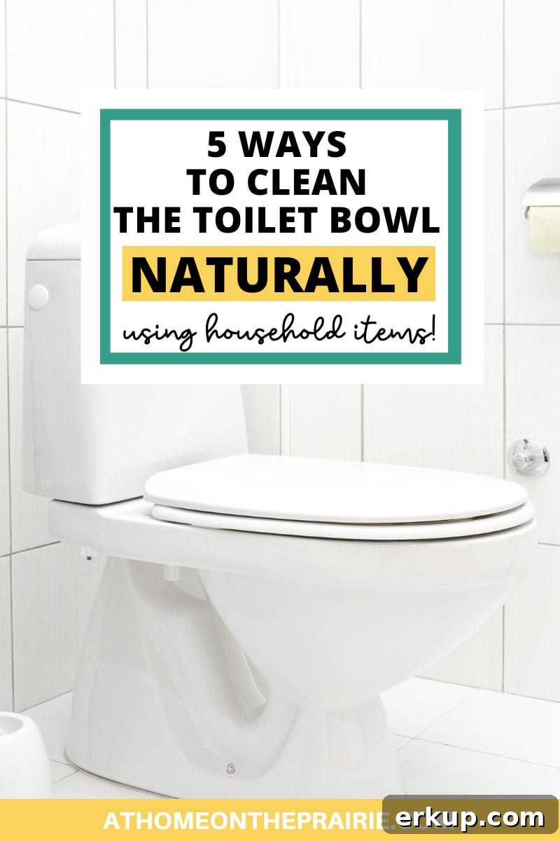a clean toilet with text over the picture that says "5 ways to clean the toilet bowl naturally with household ingredients"