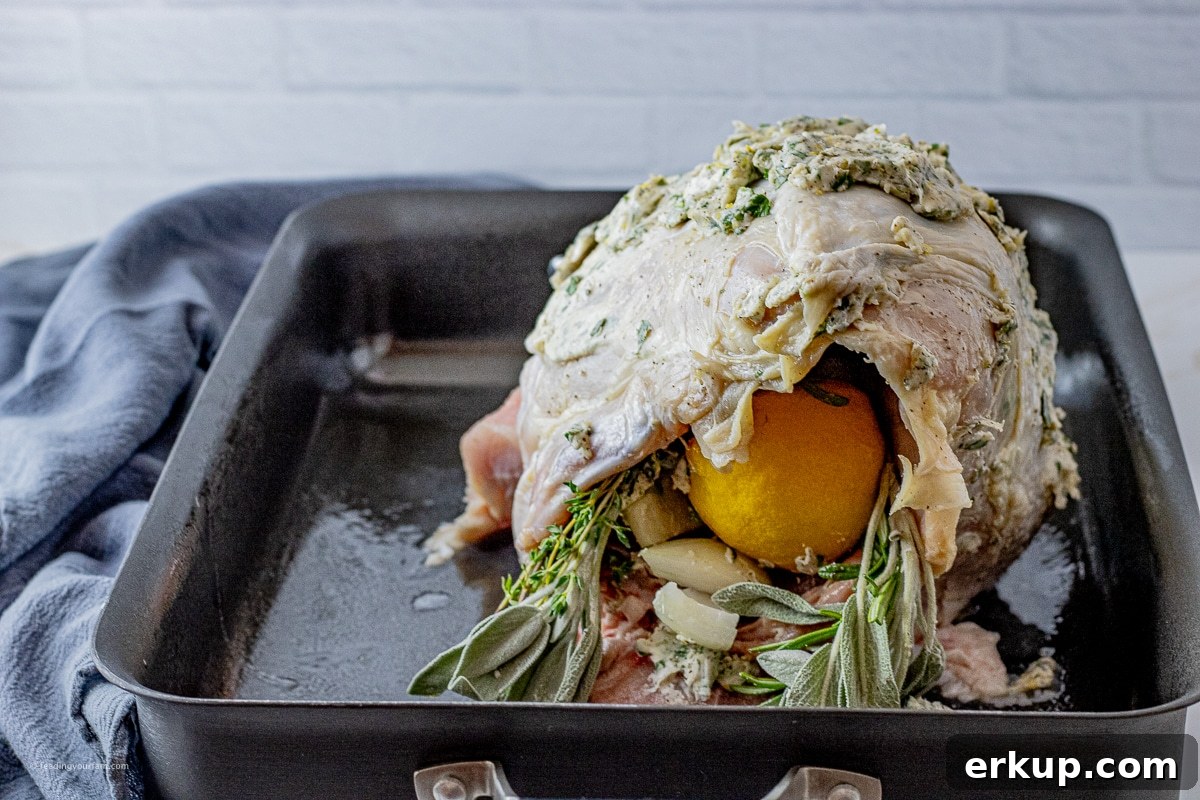 Oven-Roasted Turkey Breast Recipe for Juicy Results 5 uncooked whole turkey breast covered with butter and stuffed with lemon and fresh herbs in a large roasting pan