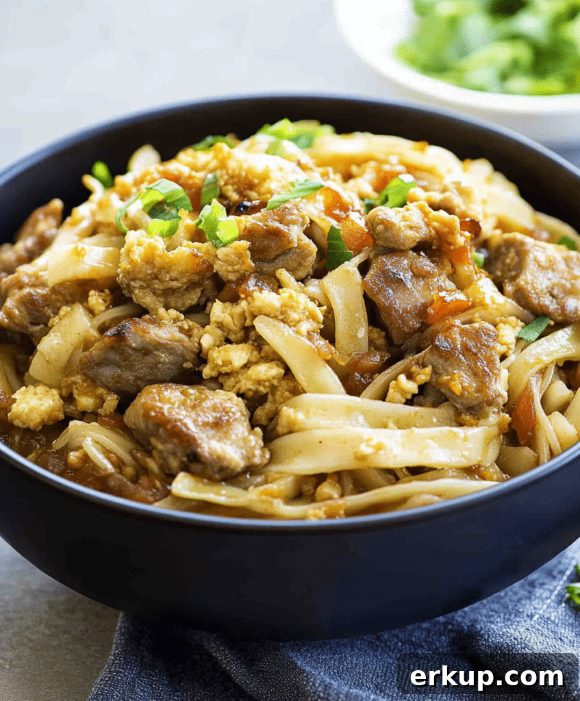 Crispy Potsticker Noodle Bowls with Ginger Sesame Sauce 2 Potsticker noodle bowl with pork and cabbage