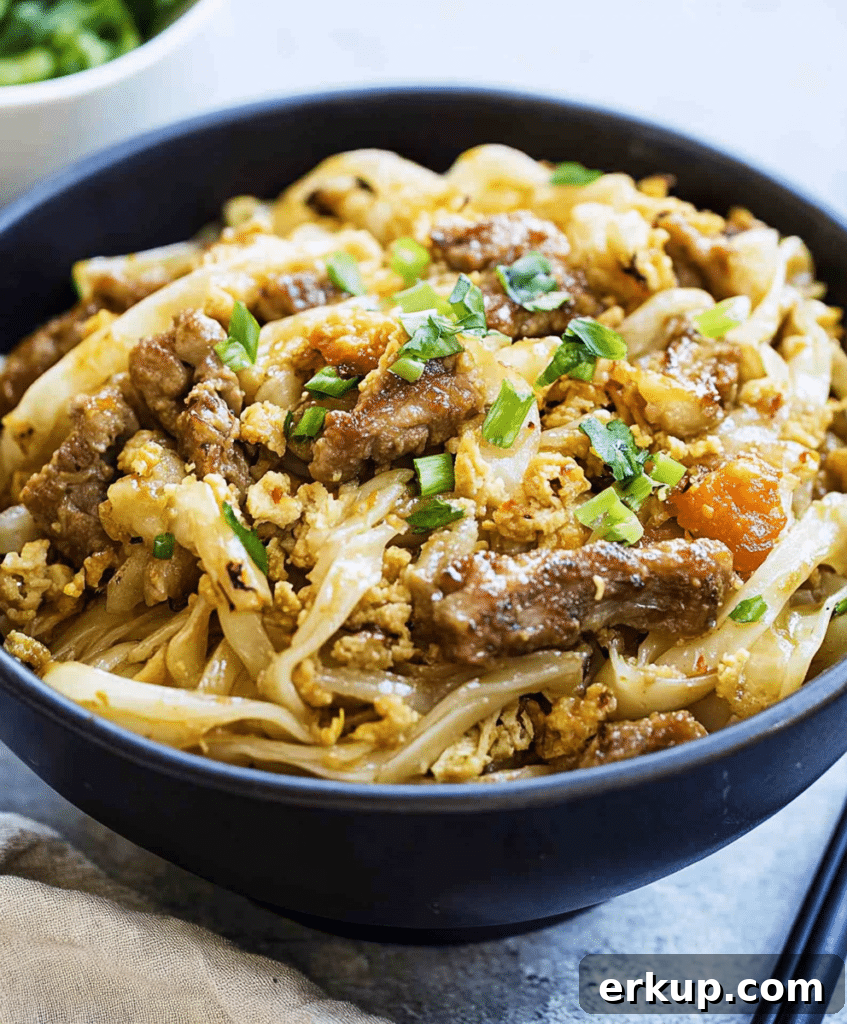 Crispy Potsticker Noodle Bowls with Ginger Sesame Sauce 4 Serving of potsticker noodle bowls