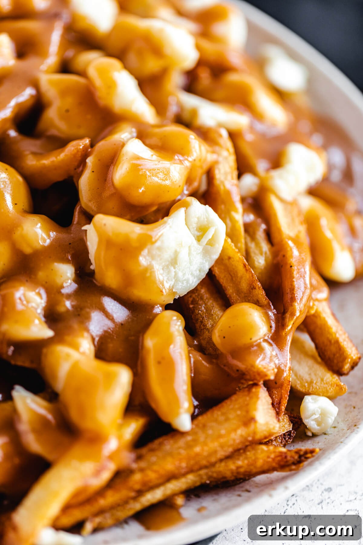 close up of fries and cheese curds covered in gravy