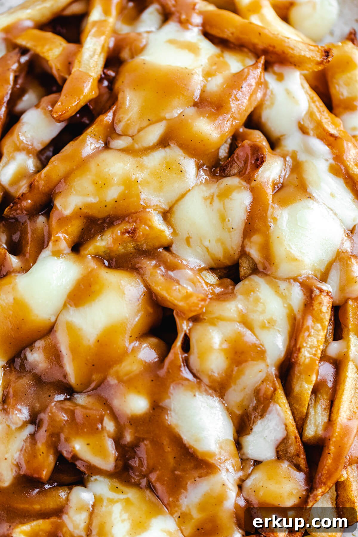 close up view of fries, melted cheese curds and gravy