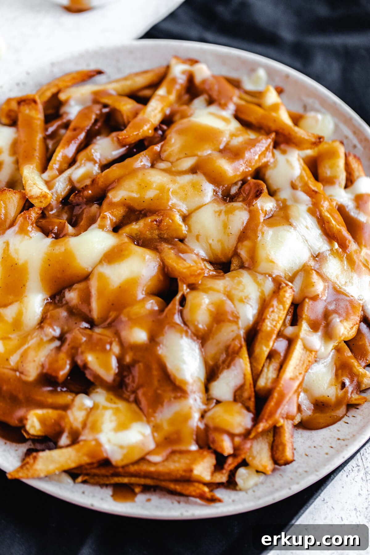 close up of fries, melted cheese and gravy on a round serving platter