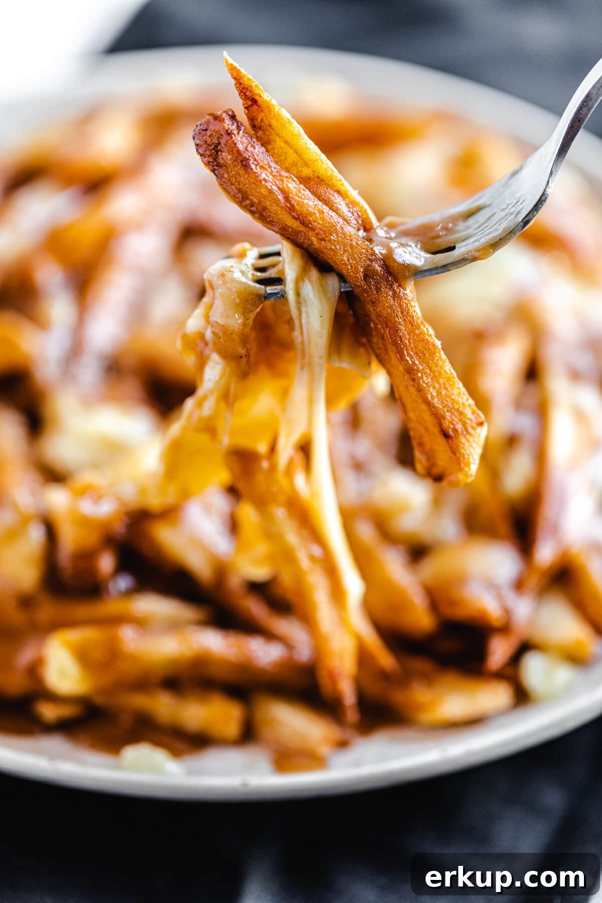 close up of French fries and cheese on a fork