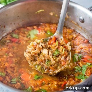 Low Carb Cabbage Chicken Taco Soup